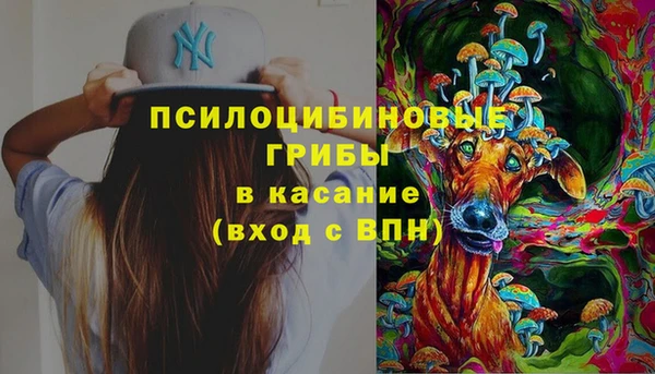 а пвп мука Коряжма
