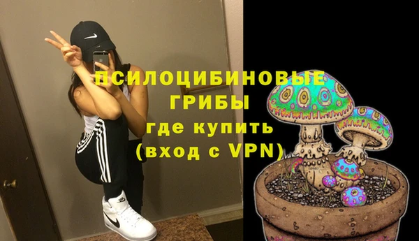 а пвп мука Коряжма