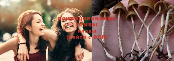 а пвп мука Коряжма