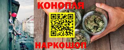 mdpv Брянск