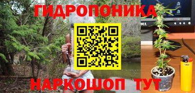 mdpv Брянск