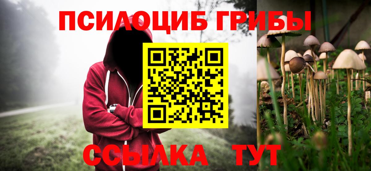 Моршанск  Галлюциногенные грибы GOLDEN TEACHER  Псилоцибиновые грибы MAGIC MUSHROOMS  Вход с VPN 